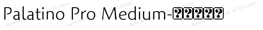 Palatino Pro Medium字体转换